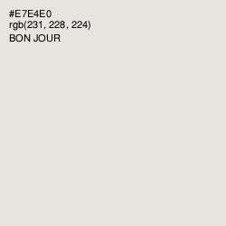 #E7E4E0 - Bon Jour Color Image